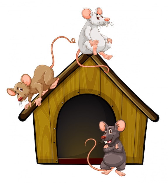 Free Vector | Group of cute mouses with little house isolated on white ...