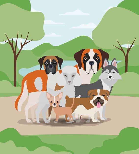 Premium Vector | Group of dogs pets in the camp characters