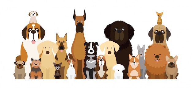犬の品種のイラスト さまざまなサイズ 正面 ペットのグループ プレミアムベクター
