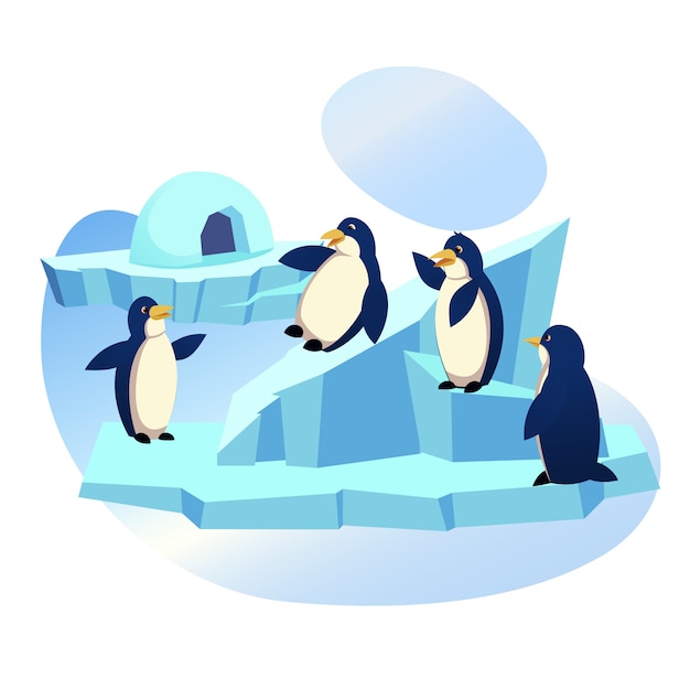 流氷 動物園で遊んで面白いペンギンのグループ プレミアムベクター