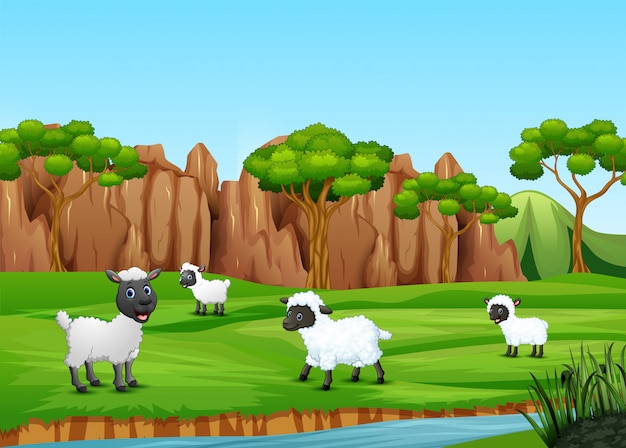 A group of sheep playing in the field | Premium Vector