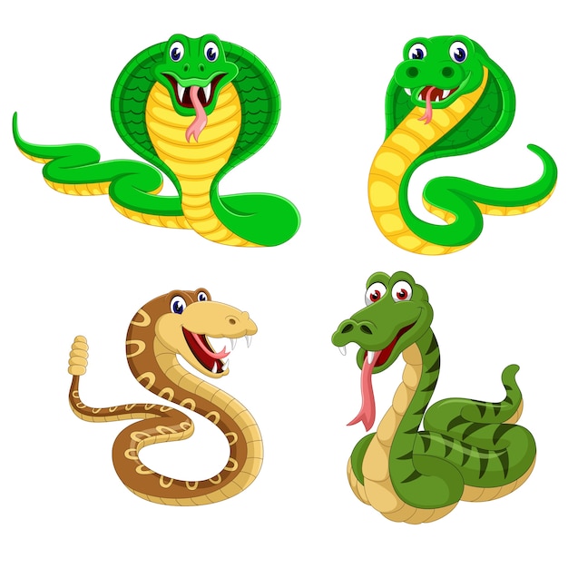 A group of snake cartoon | Premium Vector