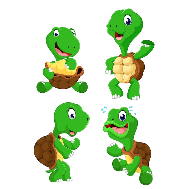 Premium Vector | A group of turtle cartoon