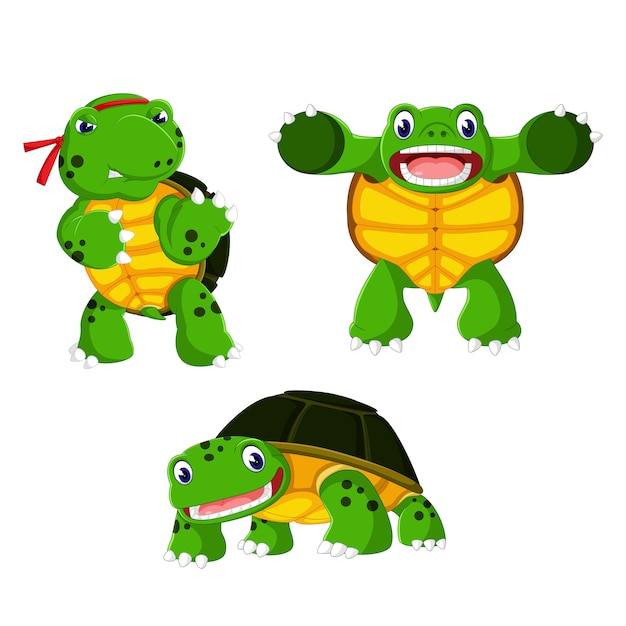 Premium Vector | A group of turtle cartoon