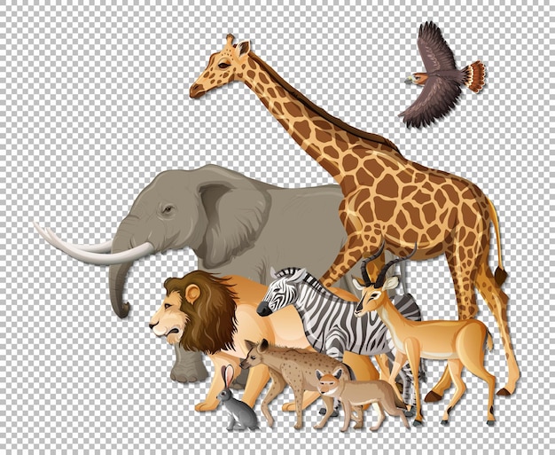 Free Vector | Group of wild african animals on transparent background