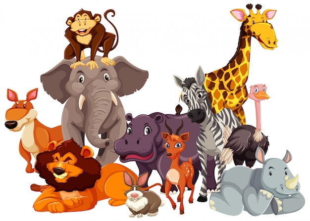 Group of wild animal | Free Vector