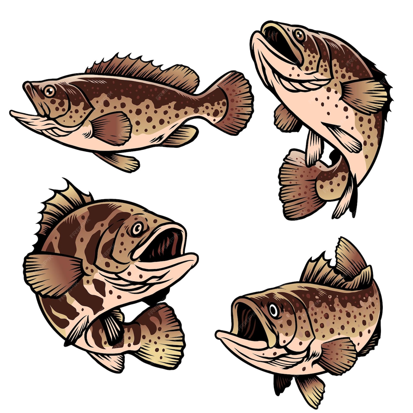 premium-vector-grouper-fish