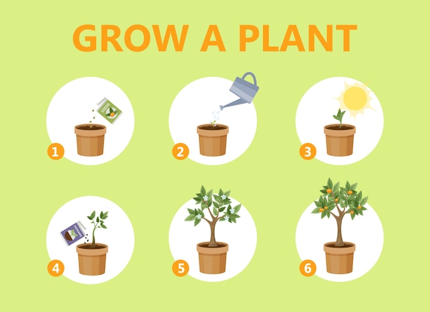ポットガイドで植物を育てる 花を段階的に育てる方法 発芽成長プロセス ガーデニングの推奨 分離フラットベクトルイラスト プレミアムベクター