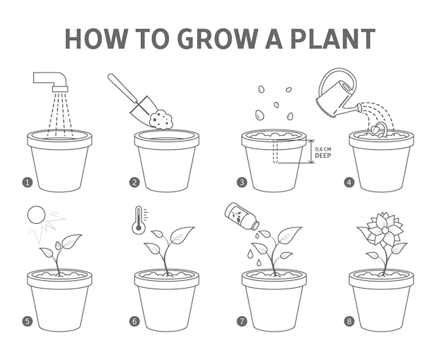 beginners illustrated guide to growing pdf free download
