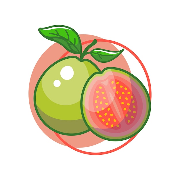 Premium Vector Guava fruit drawing illustration design