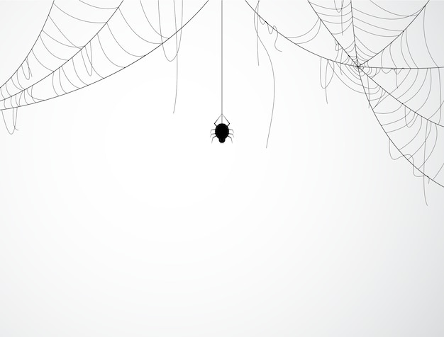 Halloween background design with black spider and torn web Premium Vector