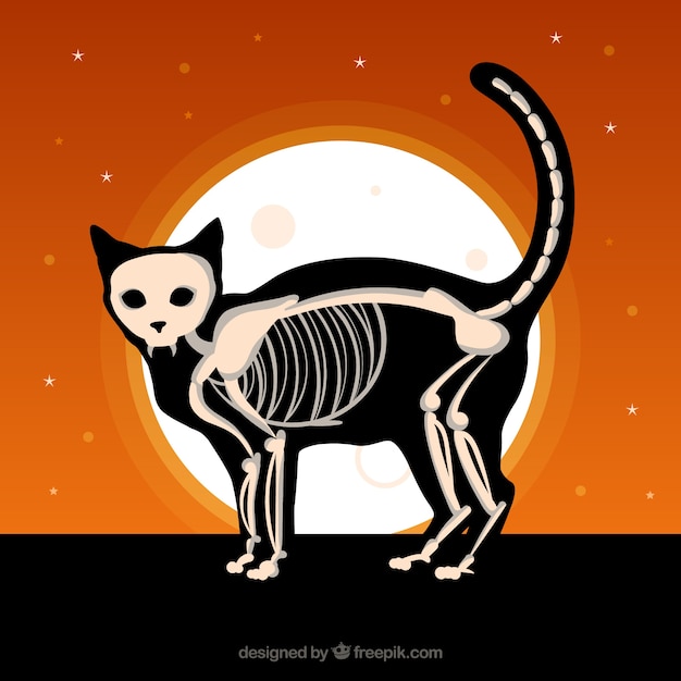 Halloween background with cat and
skeleton