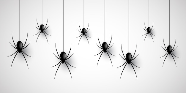 Spider Images | Free Vectors, Stock Photos & PSD