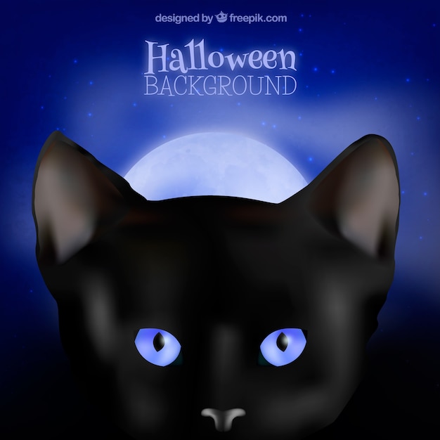 Halloween black cat background with blue\
eyes