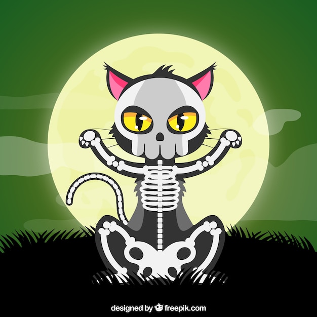 Halloween cat with skeleton