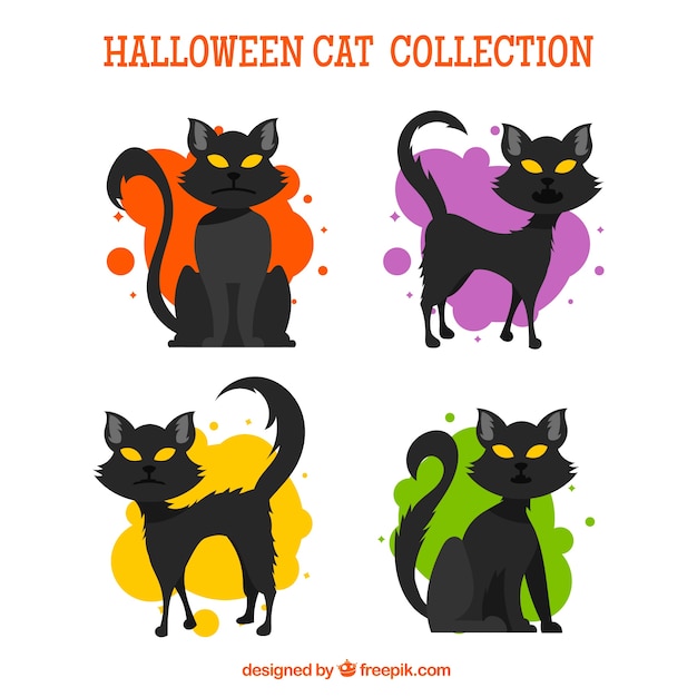 Halloween cats with creepy style