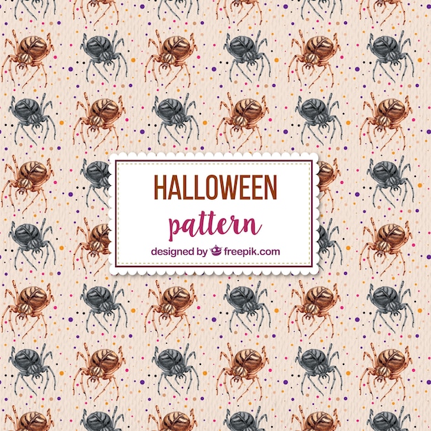 Halloween pattern with creepy spiders