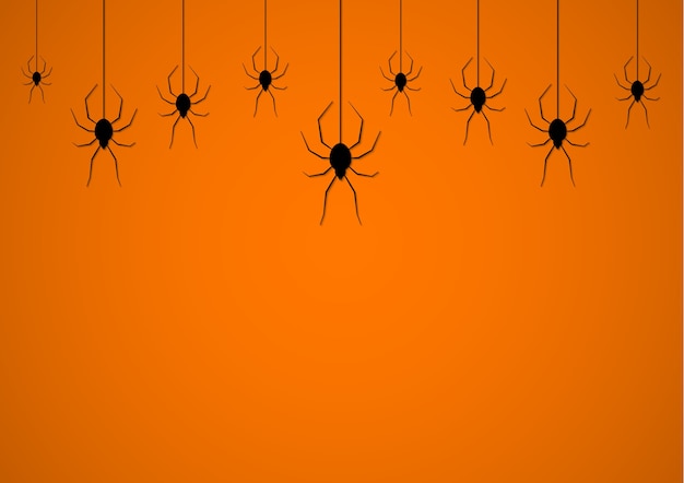 spider hanging from a web wallpaper spider hanging from a web wallpaper