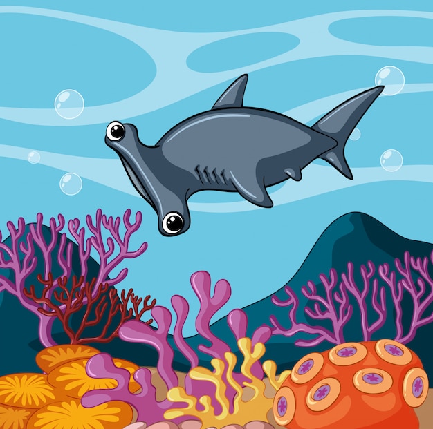 Download Hammerhead shark swimming under the ocean | Premium Vector