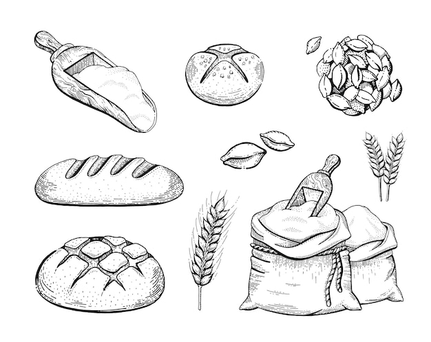 手描きのベーカリーセット小麦粉バッグ パン 小麦の耳 スケッチの概念 分離された黒の刻まれた線画の描画 プレミアムベクター