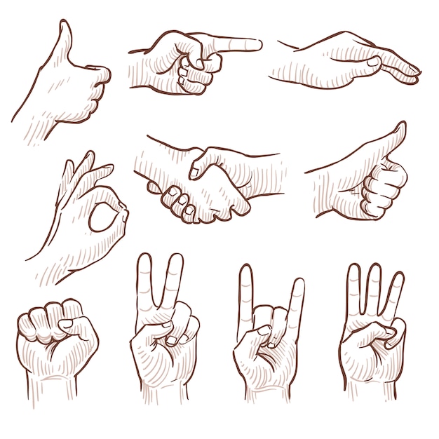 Premium Vector Hand drawing sketch man hands showing different