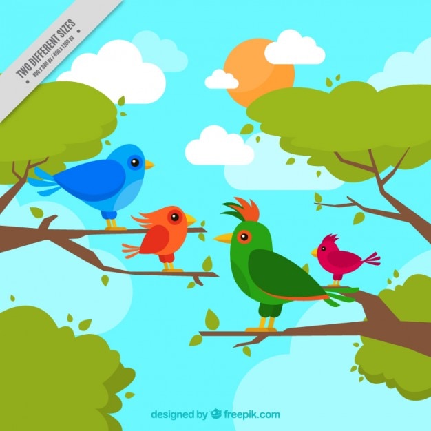Hand drawing tropical birds background