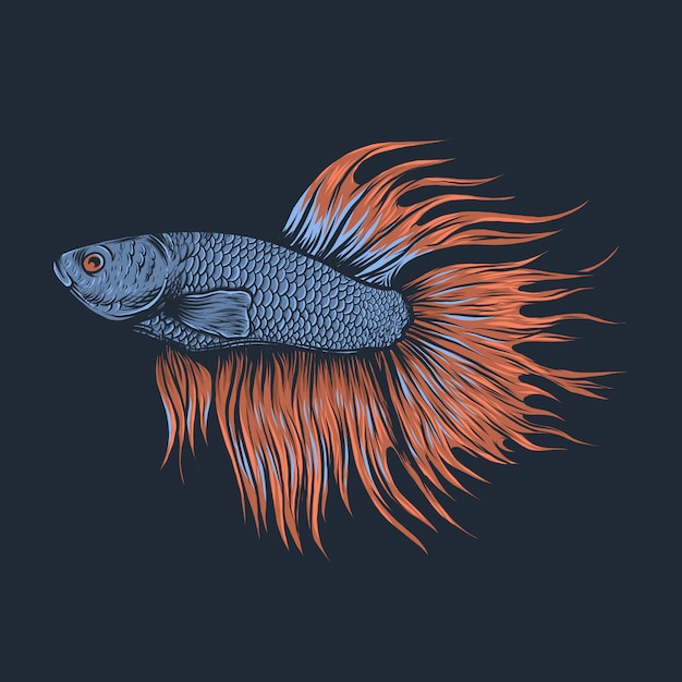 Hand drawing vintage betta fish vector illustration Vector | Premium Download