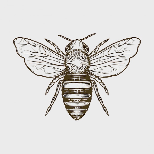 手描きのビンテージモノクロ蜂ベクトルイラスト プレミアムベクター