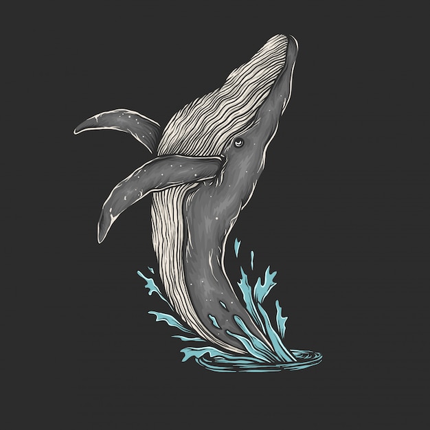 Premium Vector | Hand drawing vintage whale jump vector illustration