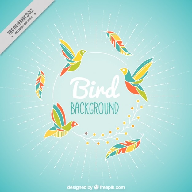 Hand drawn abstract colored birds
background