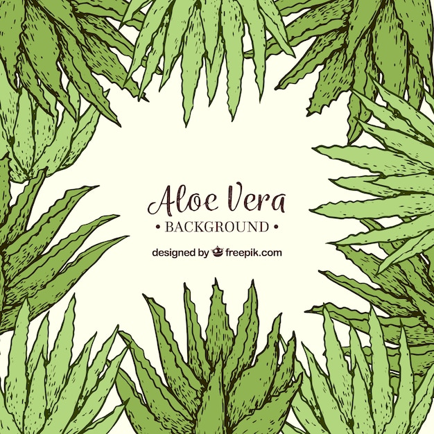 Hand Drawn Aloe Vera Background Vector Free Download 2405