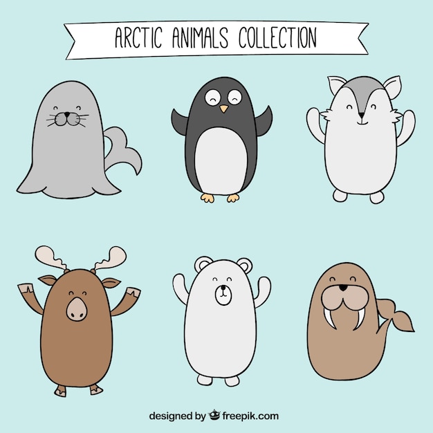 Hand drawn arctic animals collection Free Vector