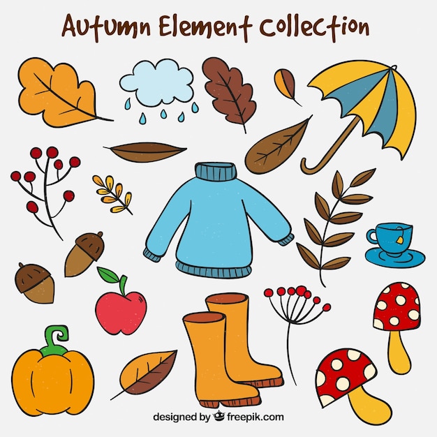 Premium Vector | Hand drawn autumn elements collection