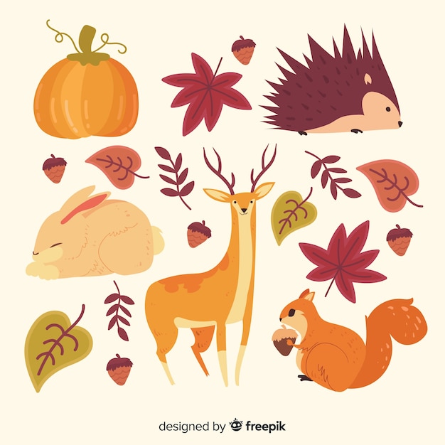 Hand drawn autumn forest animals collection | Free Vector