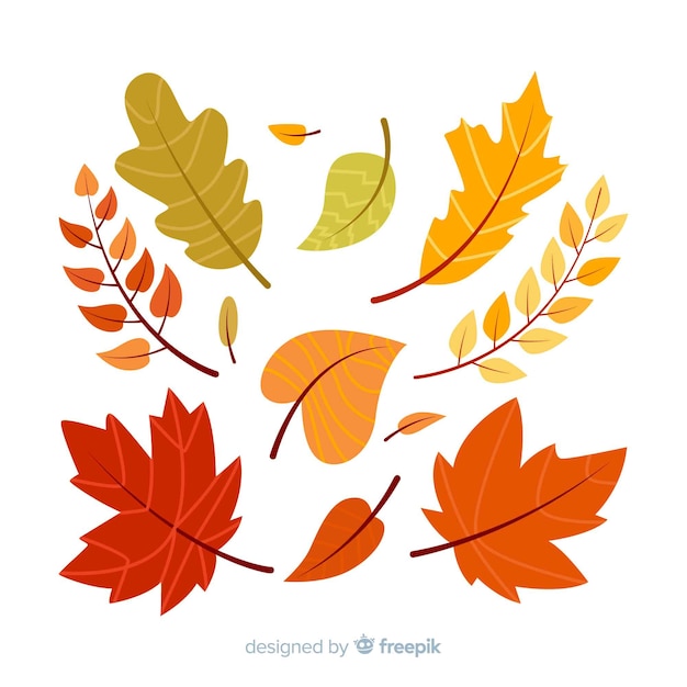 Hand drawn autumn forest leaves collection Free Vector