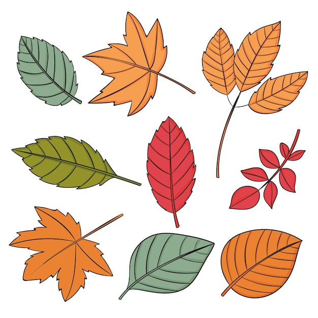 Hand Drawn Autumn Leaves Collection Free Vector