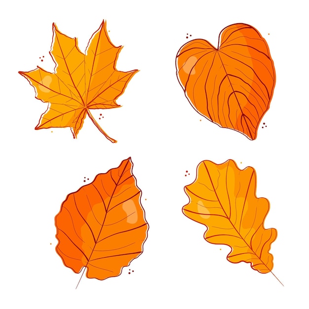 Free Vector Hand drawn autumn leaves collection