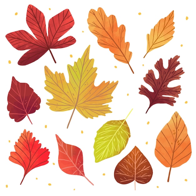 Free Vector Hand Drawn Autumn Leaves Collection