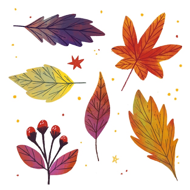 Free Vector Hand drawn autumn leaves collection