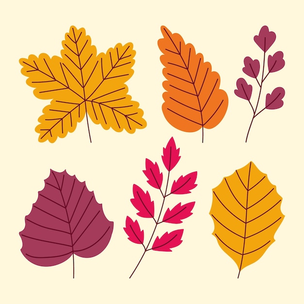 Free Vector | Hand drawn autumn leaves set