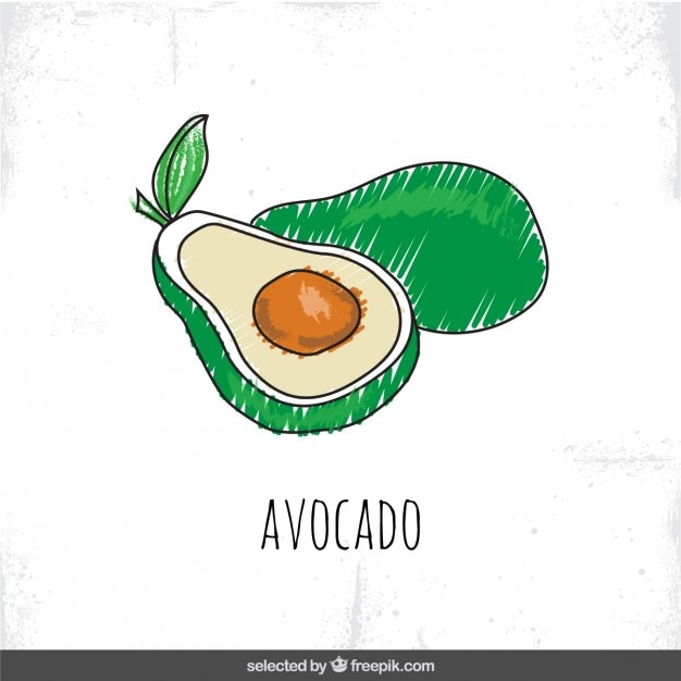 Download Free Vector | Hand drawn avocado