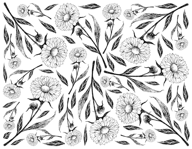 カレンデュラまたはマリーゴールドの花の手描きの背景 プレミアムベクター