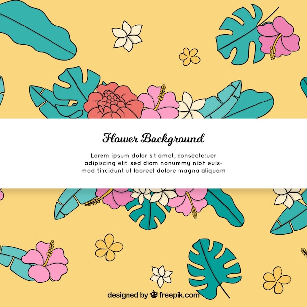 Hand drawn background with exotic\
flowers