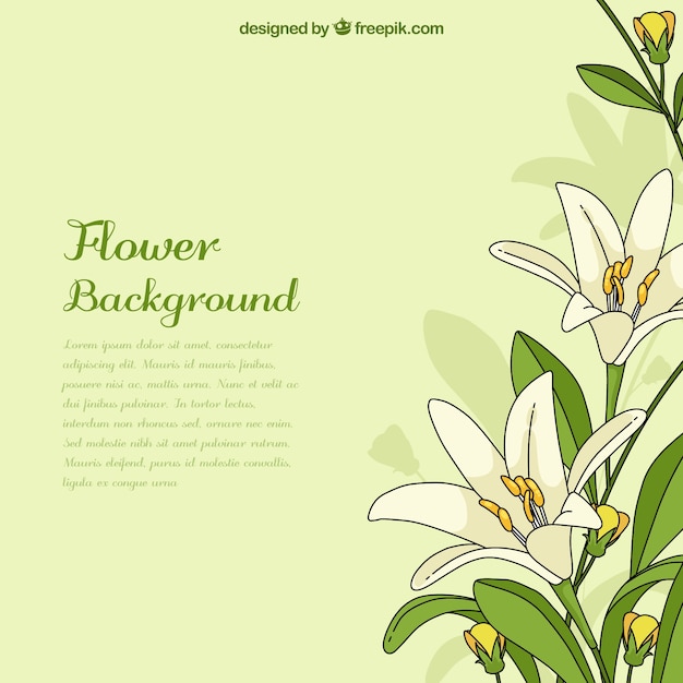 Hand drawn background with exotic\
flowers