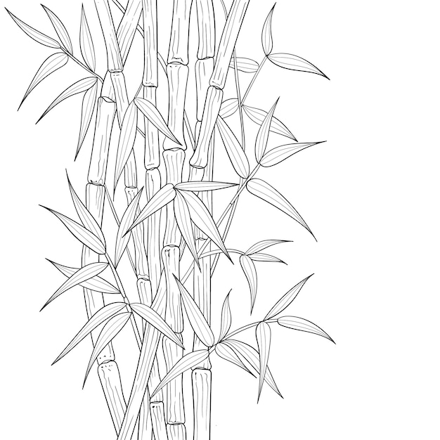 手描きの竹のイラスト プレミアムベクター