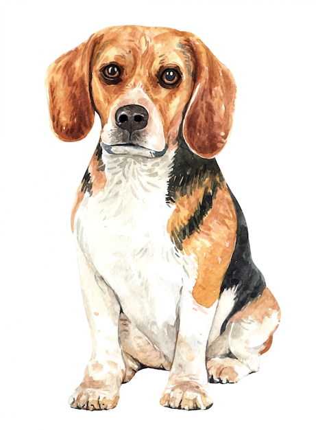 手描きのビーグル水彩犬 プレミアムベクター