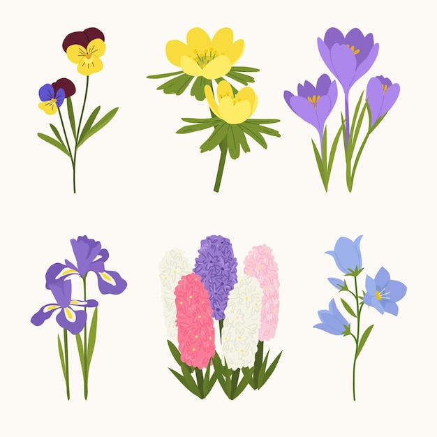 Free Vector | Hand drawn beautiful spring flower set