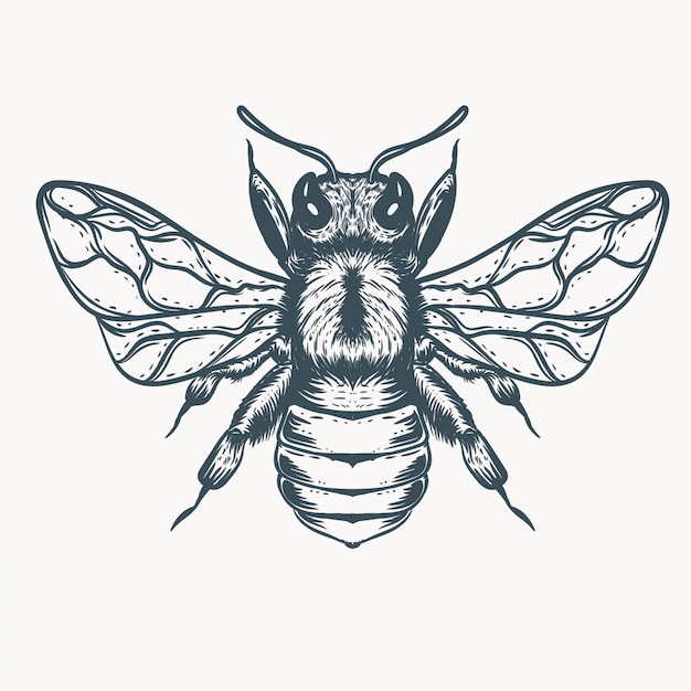 手描き蜂イラスト プレミアムベクター