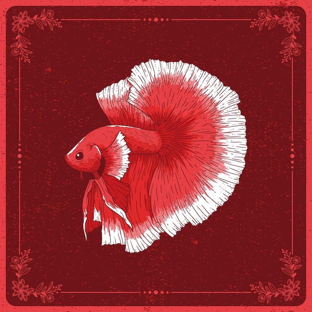 Download Premium Vector | Hand drawn betta fish illustration