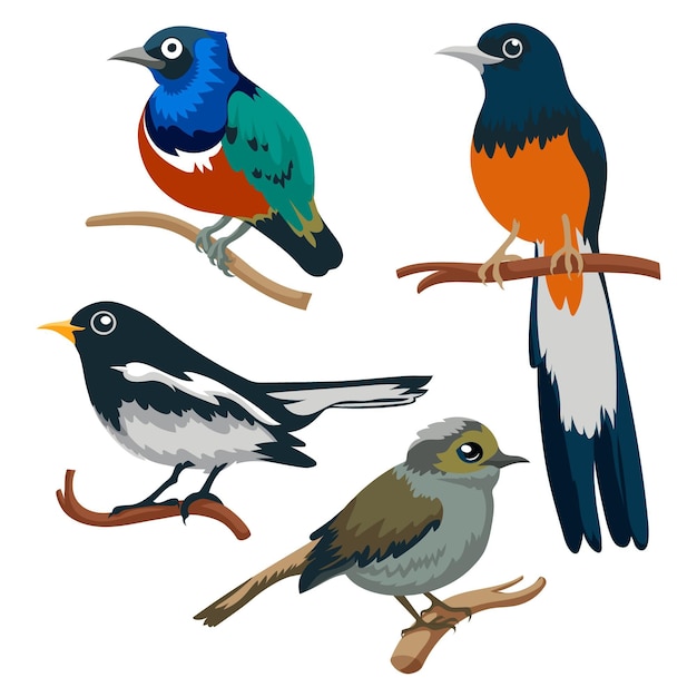 Hand drawn bird collection | Free Vector